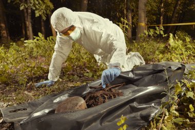 Gözlem için polis teknisyeni tarafından plastik ceset torbasına insan kalıntıları toplama