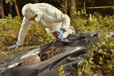 Gözlem için polis teknisyeni tarafından plastik ceset torbasına insan kalıntıları toplama