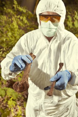 Ormanda bulunan yaşlı insan kalıntıları - polis tarafından iskelet toplama