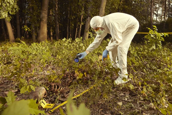 Restos Humanos Mais Velhos Encontrados Floresta Coleta Esqueleto Pela Polícia — Fotografia de Stock