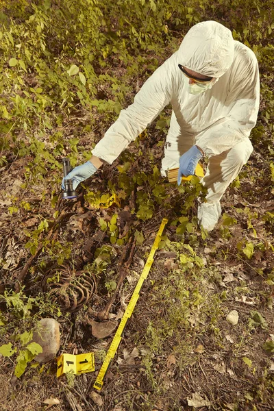 Older Human Remains Found Forest Collecting Skeleton Police — Stock Photo, Image