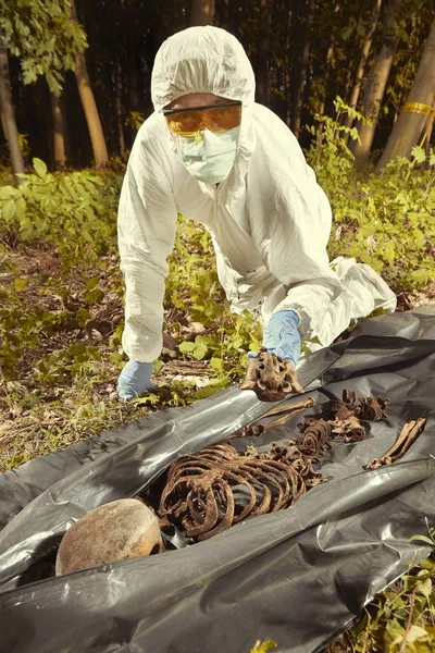 Gözlem için polis teknisyeni tarafından plastik ceset torbasına insan kalıntıları toplama