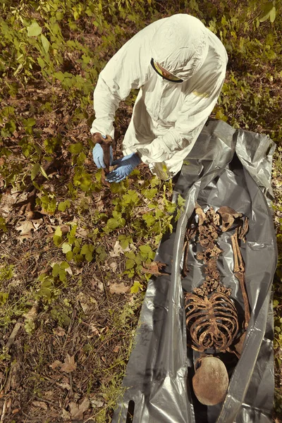 Gözlem için polis teknisyeni tarafından plastik ceset torbasına insan kalıntıları toplama