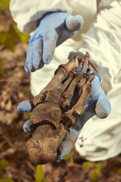 Restos Humanos Mais Velhos Encontrados Floresta Coleta Esqueleto Pela Polícia — Fotografia de Stock