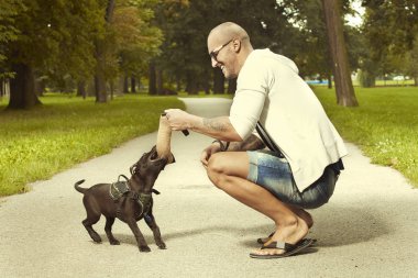 Fitness kas adam ile üç aylık staffordshire boğa terrier köpek yavrusu