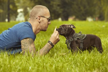 Fitness kas adam ile üç aylık staffordshire boğa terrier köpek yavrusu