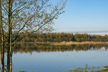 Bahar manzara - çiçekli ve parlak renklerin oyun.