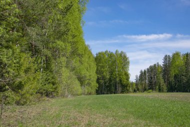 Bahar, doğa, bahar ormanı, tarlalar, göller ve nehirler.