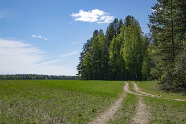 Bahar, doğa, bahar ormanı, tarlalar, göller ve nehirler.