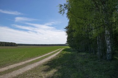Bahar, doğa, bahar ormanı, tarlalar, göller ve nehirler.