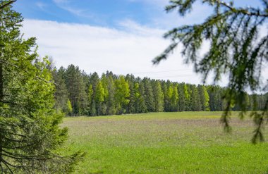 Bahar, doğa, bahar ormanı, tarlalar, göller ve nehirler.