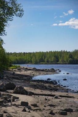 Bahar, doğa, bahar ormanı, tarlalar, göller ve nehirler.