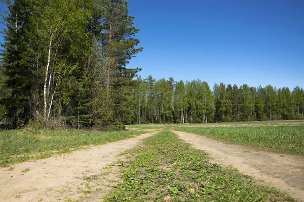 Spring, nature, spring forest, fields, lakes and rivers.