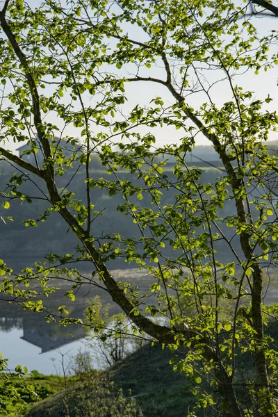 Spring, nature, spring forest, fields, lakes and rivers.