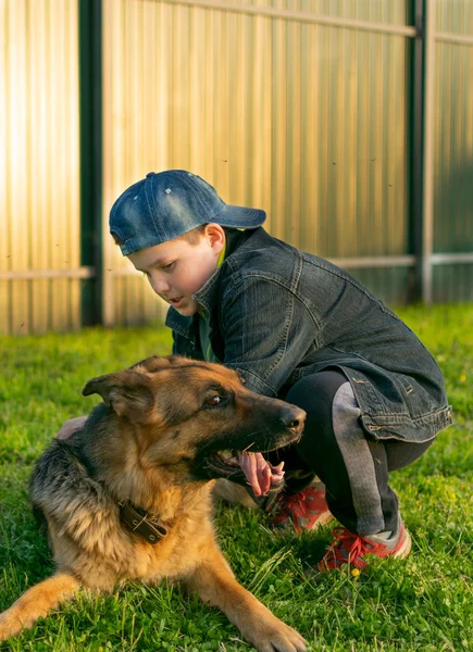 Ragazzo Salva Suo Cane Dalle Zanzare — Foto Stock