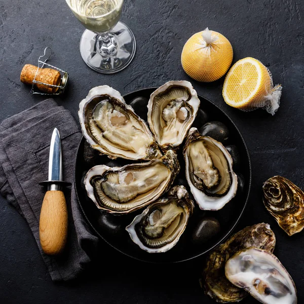 Fresh Oysters with lemon and champagne on stones on dark background