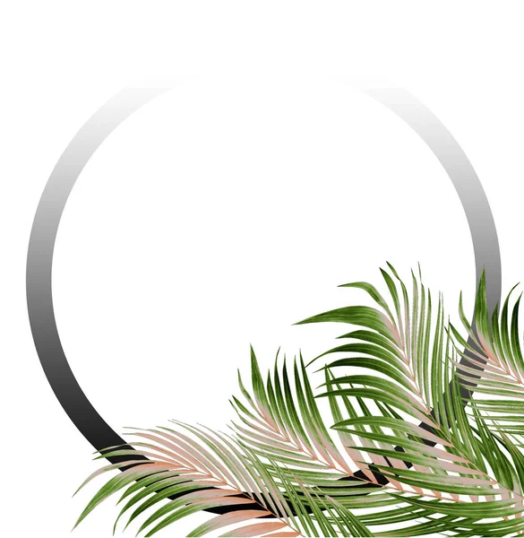 棕榈树背景绿叶相框图 — 图库照片