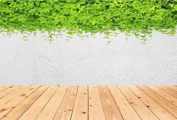 Τσιμεντένιο Τοίχο Πράσινα Φύλλα Και Ξύλινο Πάτωμα — Φωτογραφία Αρχείου