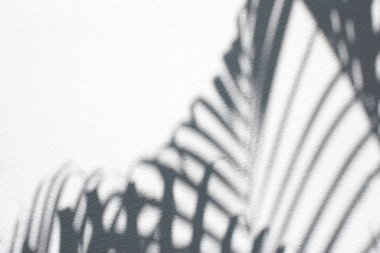 Beton, beyaz ve siyah gölge yaprağının üzerindeki gölge yapraklarının soyut arkaplanı