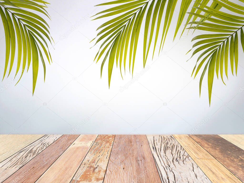 Old wood plank and green palm leaves with concrete wall texture background