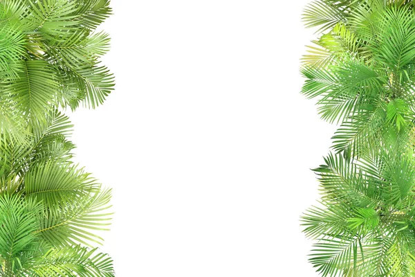 Top View Palm Leaves Tree Summer Background — Stock Photo, Image