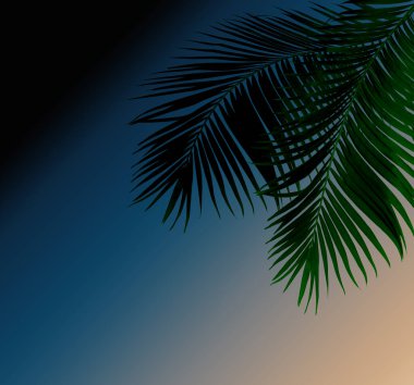 Tropikal yeşil palmiye yaprağıyla konsept yaz. Beyaz desenli arka planda yaprak dalları var. düz yatış, üst görünüm.