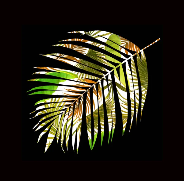Dubbel Exponering Gröna Blad Palm Bakgrund — Stockfoto