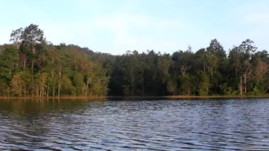 Ağaçlı güzel göl manzarası