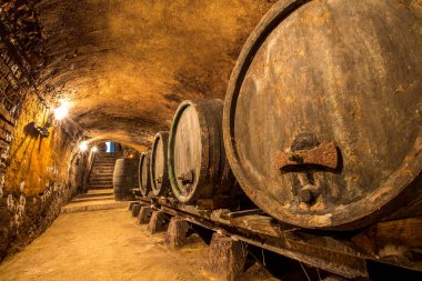 Şarap mahzeni ahşap Şarap fıçıları satırı