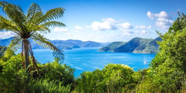 Kraliçe Charlotte Sound, Yeni Zelanda Panoraması