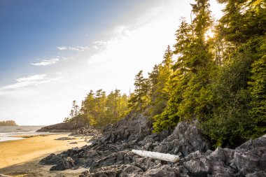 Tofino yakınlarındaki Pasifik kıyı şeridi, Vancouver Adası, British Columbia, Kanada