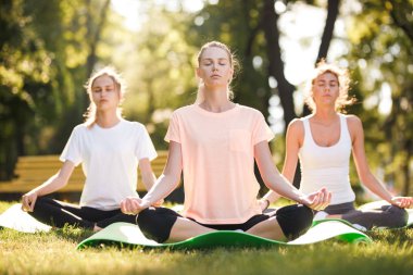 Grup Genç kadını pratik yoga, sabah meditasyon Doğa Parkı