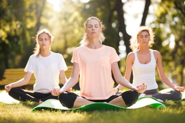 Grup Genç kadını pratik yoga, sabah meditasyon Doğa Parkı
