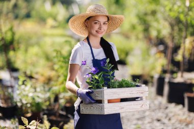 Bahçe kavramı. Güzel ve genç birbayan bahçıvan çiçeklerle ahşap kutu