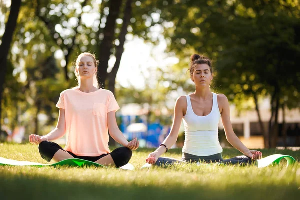 Frauen beim Yoga im Freien bei Sonnenaufgang. Morgenmeditation — Stockfoto