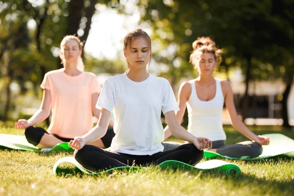 Gruppe junger Frauen praktiziert Yoga, Morgenmeditation in der Natur im Park — Stockfoto