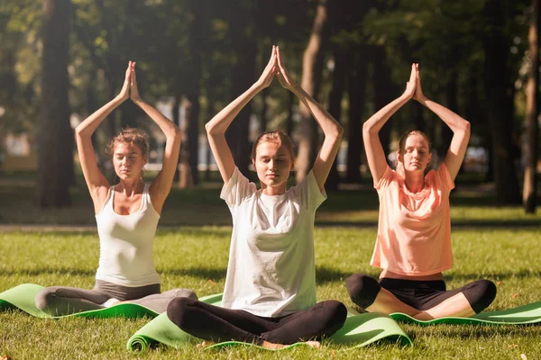 Gruppe junger Frauen praktiziert Yoga, Morgenmeditation in der Natur im Park — Stockfoto