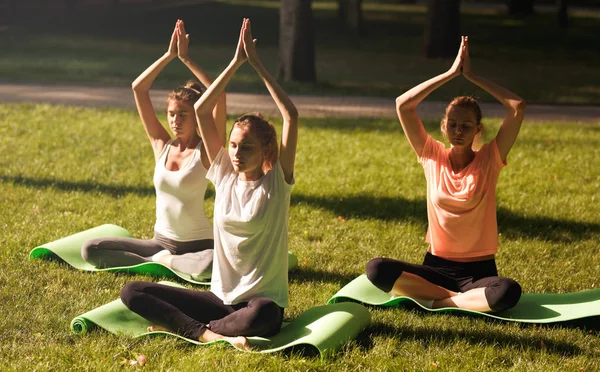 Gruppe junger Frauen praktiziert Yoga, Morgenmeditation in der Natur im Park — Stockfoto