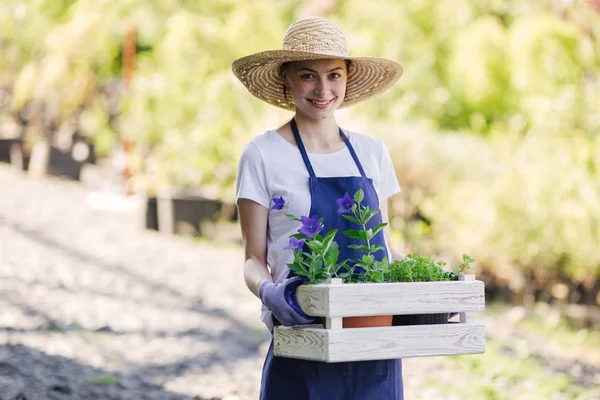 Концепція садівництва. Красива молода жінка садівник з квітами в дерев'яній коробці — стокове фото