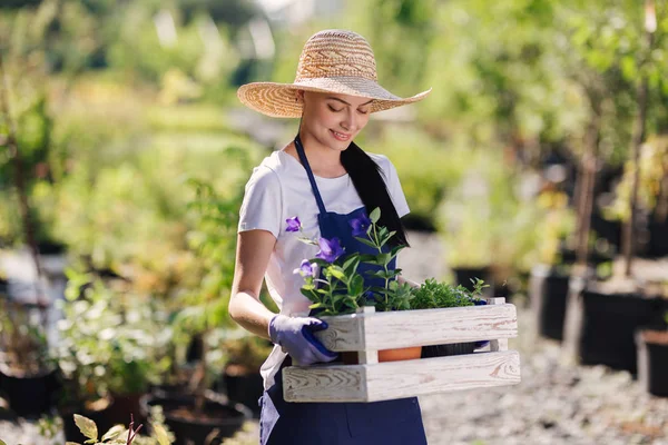 Concepto de jardinería. Hermosa joven jardinero con flores en caja de madera — Foto de Stock