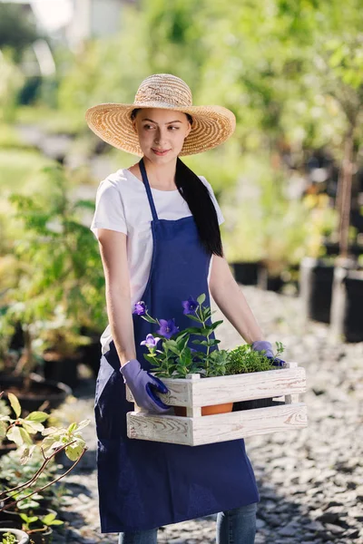 Садоводческая концепция. Красивая молодая женщина садовница с цветами в деревянной коробке — стоковое фото