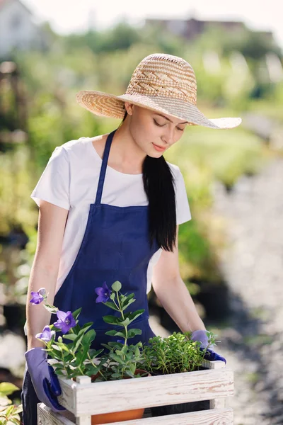 Concepto de jardinería. Hermosa joven jardinero con flores en caja de madera — Foto de Stock