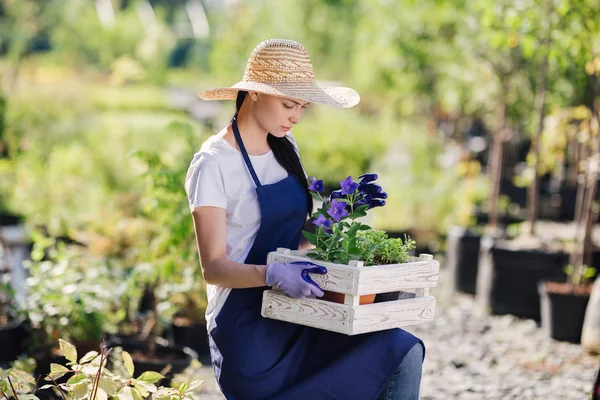 Concepto de jardinería. Hermosa joven jardinero con flores en caja de madera — Foto de Stock