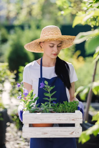 Концепція садівництва. Красива молода жінка садівник з квітами в дерев'яній коробці — стокове фото