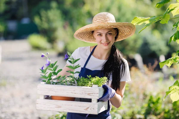 Concepto de jardinería. Hermosa joven jardinero con flores en caja de madera — Foto de Stock