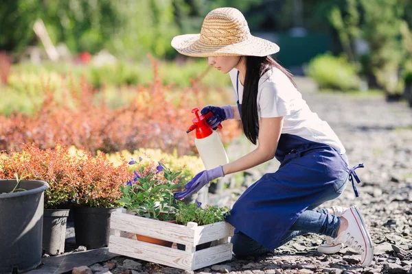 Gardener mulher polvilhe flores de um pulverizador de jardim, de perto foto — Fotografia de Stock