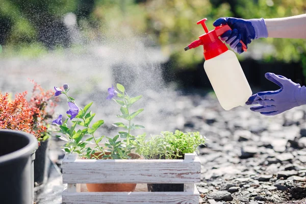 Gardener mulher polvilhe flores de um pulverizador de jardim, de perto foto — Fotografia de Stock