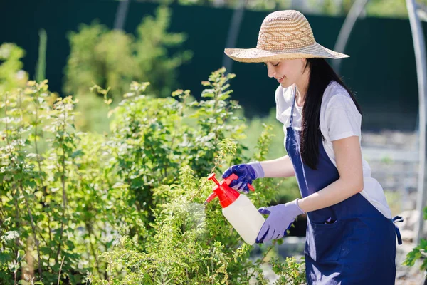 Hermosa mujer jardinero en sombrero de paja rocía las plantas de un rociador de jardín — Foto de Stock