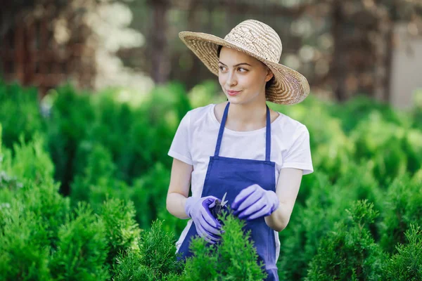 Mujer utiliza herramienta de jardinería para recortar setos, cortando arbustos con tijeras de jardín — Foto de Stock