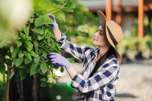 Hermosa joven con camisa a cuadros y sombrero de paja jardinería al aire libre en el día de verano — Foto de Stock